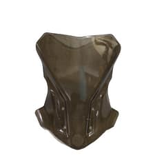 POLYCARBONATE VISOR BMW G310R