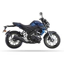 MT 15